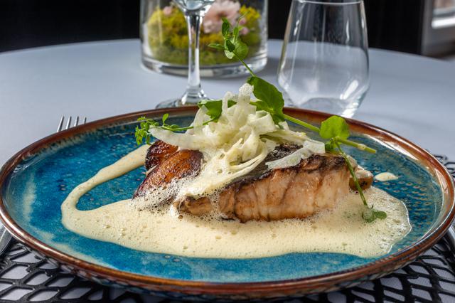 Filet de Maigre