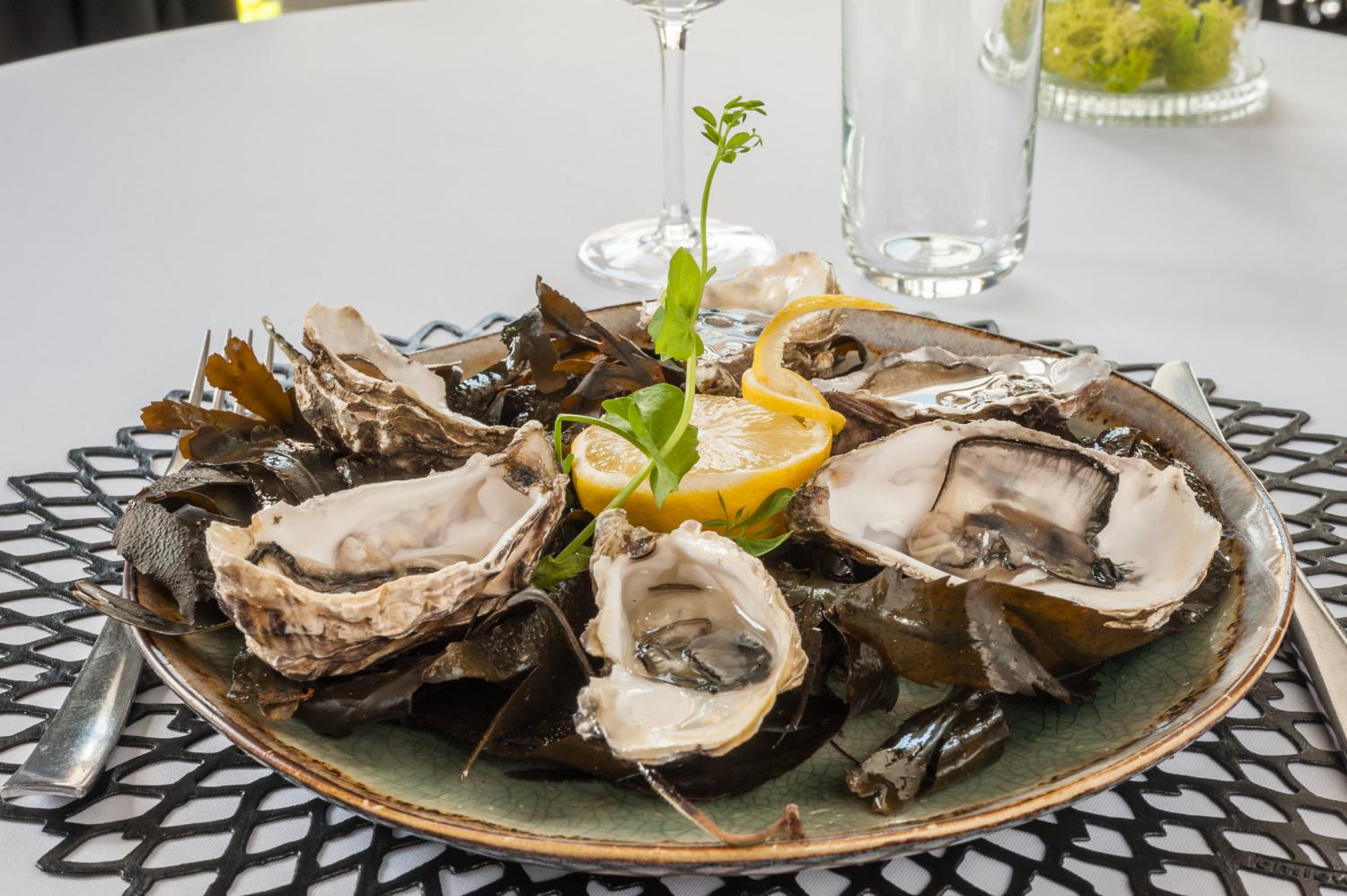 Les Huîtres sont de retour !